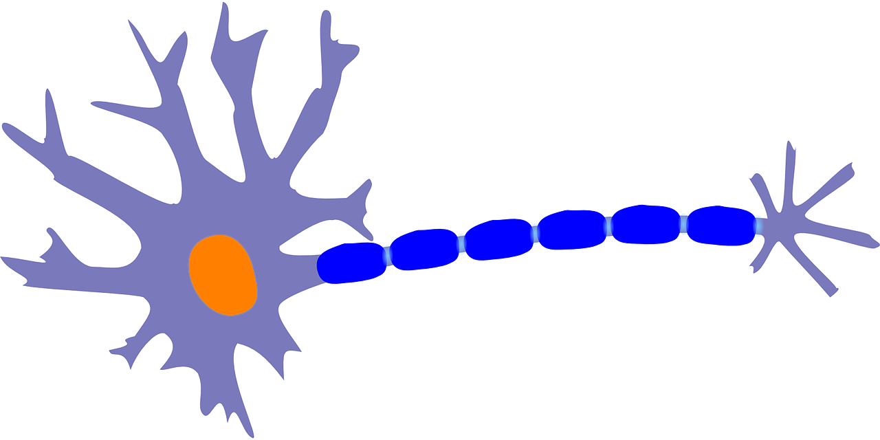 三年级科学科技小报，探索科学的奥秘