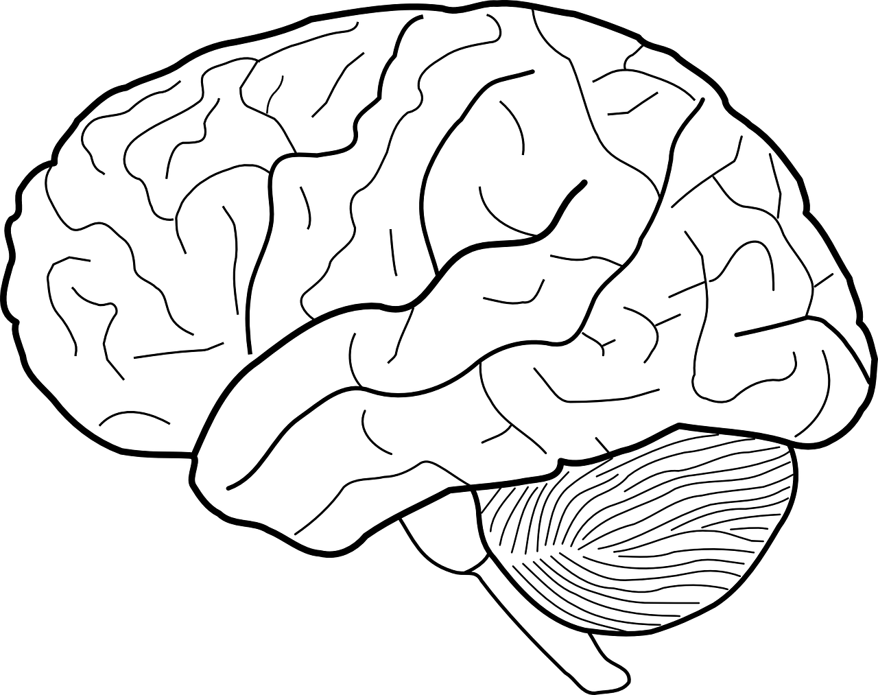 青春期心理健康手抄报
